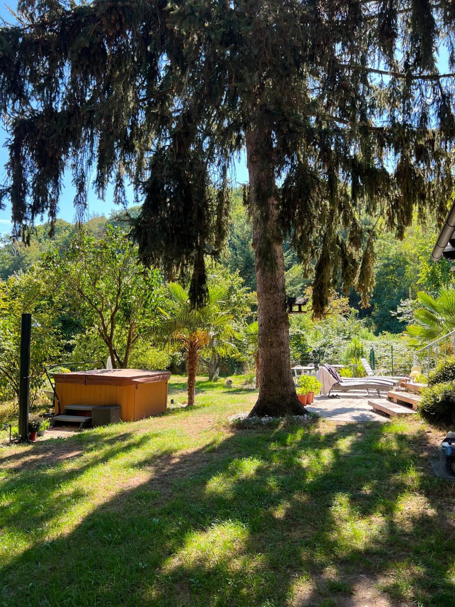 Privates Ferienhaus Mit Pool & Whirlpool Zentral In Bad Dürkheim Екстериор снимка